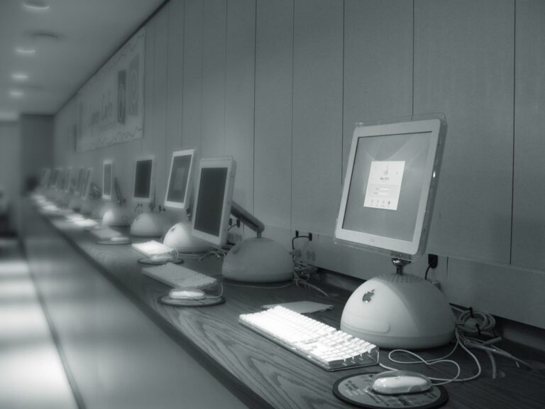 Saint Lucia Advances Inclusive Development with IT Support for Vulnerable Populations