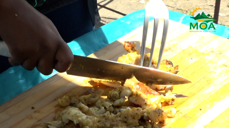 Independence Seafood Festival Celebrates Saint Lucia’s Rich Culinary Heritage