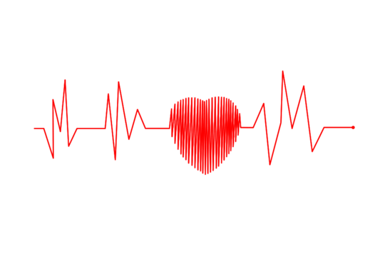 Saint Lucia Medical and Dental Association Condemns Violence Against Women