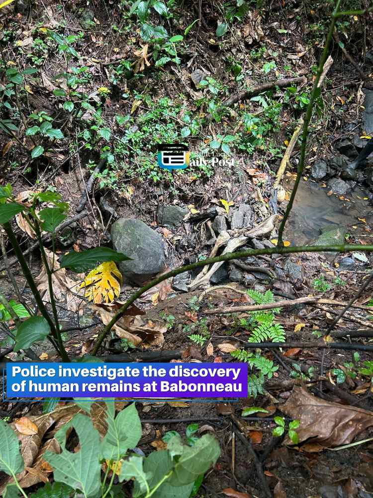 Police Investigate Discovery of Decomposed Body in Babonneau