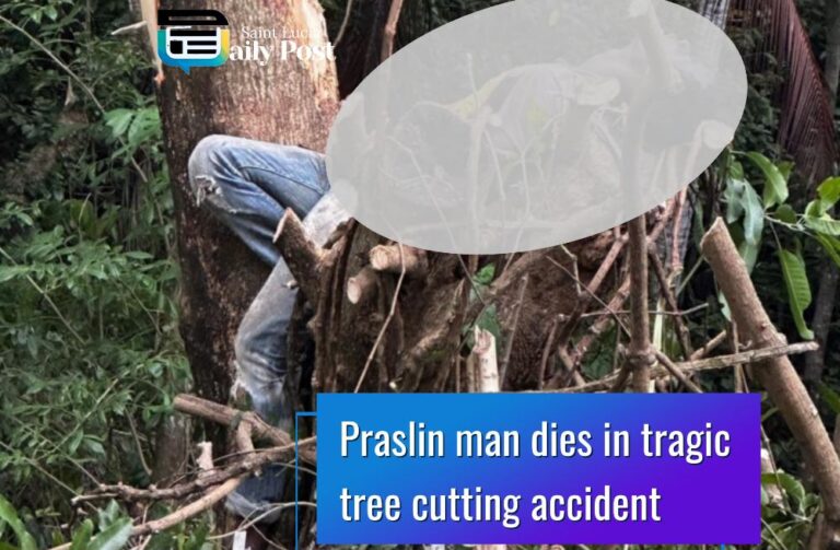Praslin Man Dies in Tragic Tree-Cutting Accident