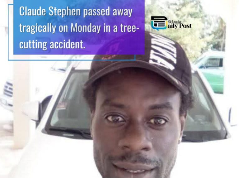 Tragedy Strikes La Haut as Resident Dies in Tree Pruning Accident