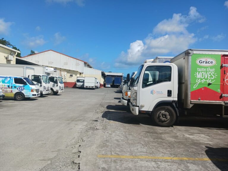 Workers Stage Strike Over Backpay Dispute and Contract Changes