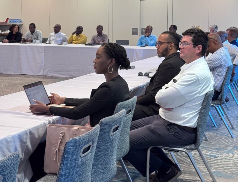 Stakeholders Engaged on Underwater Sculpture Park Project