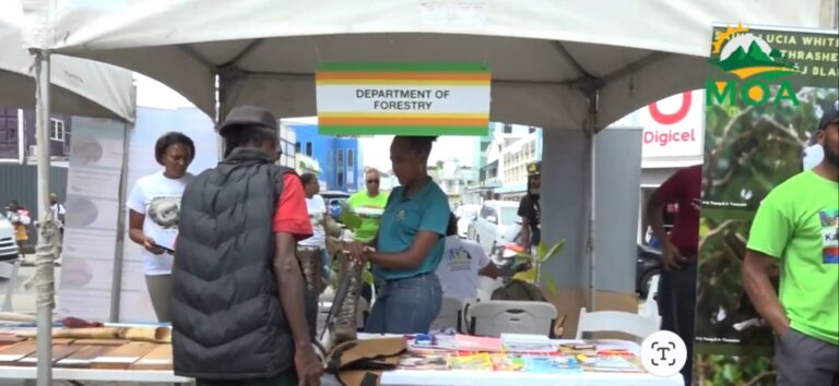 Protecting Saint Lucia’s Wildlife | World Wildlife Day Exhibition Highlights