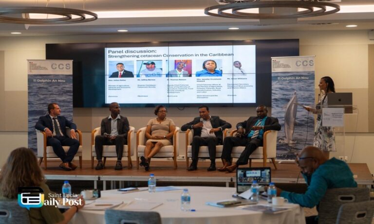 Historic Cetacean Forum in Saint Lucia Signals New Era for Marine Conservation in the Caribbean