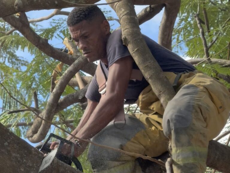 Police Spearhead Rodney Bay Beautification and Safety Initiative