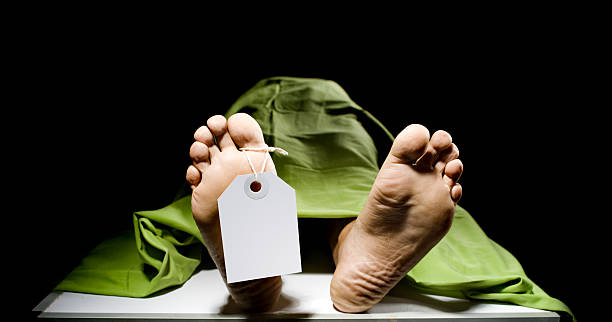 US Cruise Passenger Dies After Medical Emergency on Water-Based Excursion in Saint Lucia