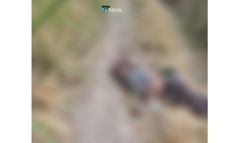Elderly Man Found Dead Following Violent Assault in Choiseul