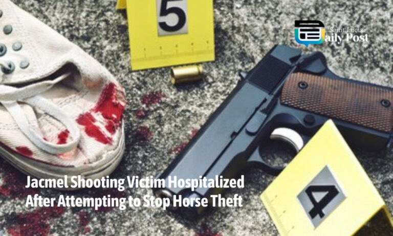 Jacmel Shooting Victim Hospitalized After Attempting to Stop Horse Theft