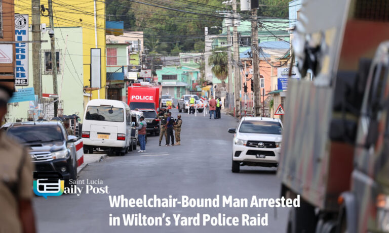 Wheelchair-Bound Man Arrested in Wilton’s Yard Police Raid