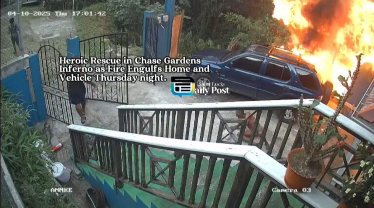 Heroic Rescue in Chase Gardens Blaze–One Injured