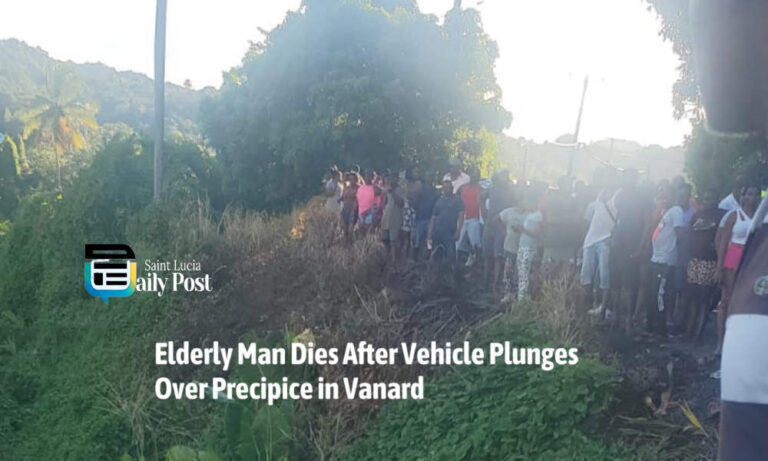 Elderly Man Dies After Vehicle Plunges Over Precipice in Vanard
