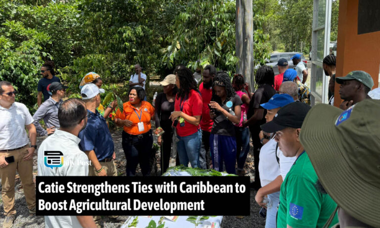 Catie Strengthens Ties with Caribbean to Boost Agricultural Development