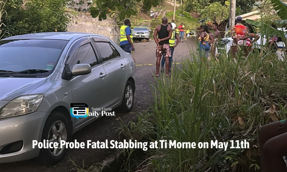Police Probe Fatal Stabbing in Ti Morne - Saint Lucia Daily Post