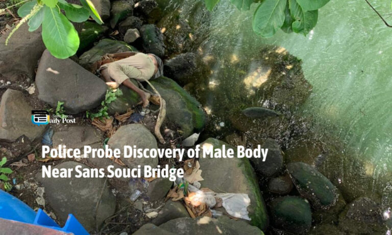 Police Probe Discovery of Male Body Near Sans Souci Bridge