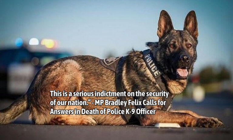 “This is a serious indictment on the security of our nation.” – MP Bradley Felix Calls for Answers in Death of Police K-9 Officer