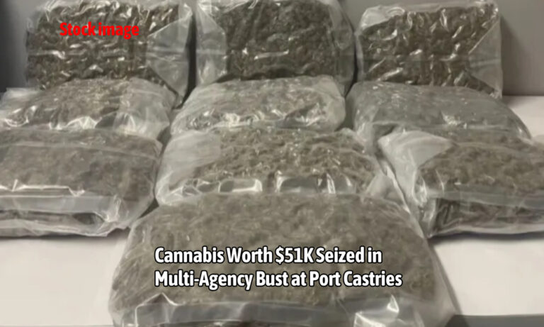 Cannabis Worth $51K Seized in Multi-Agency Bust at Port Castries