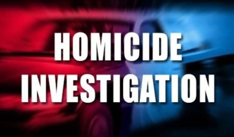 Two Bodies Discovered in La Tourney, Vieux Fort With Bullet Wounds to the Head