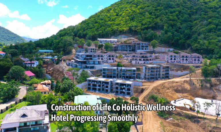 Construction of Life Co Holistic Wellness Hotel Progressing Smoothly