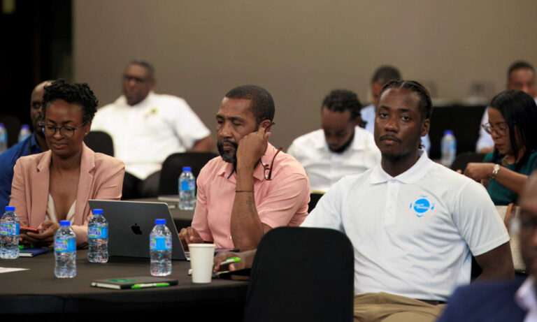 Cruise Connect Panel Examines Saint Lucia’s Competitiveness as Cruise Destination