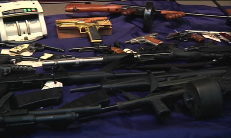 Eight Firearms Seized in Barnard Hill Police Operation