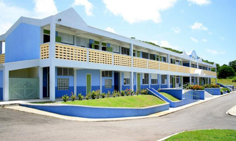 Sports Academy Marks Six Years of Athletic and Academic Excellence