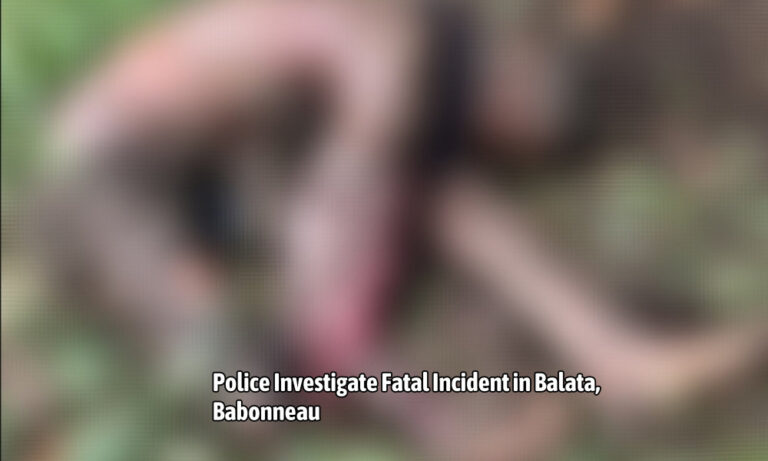 Police Investigate Fatal Incident in Balata, Babonneau