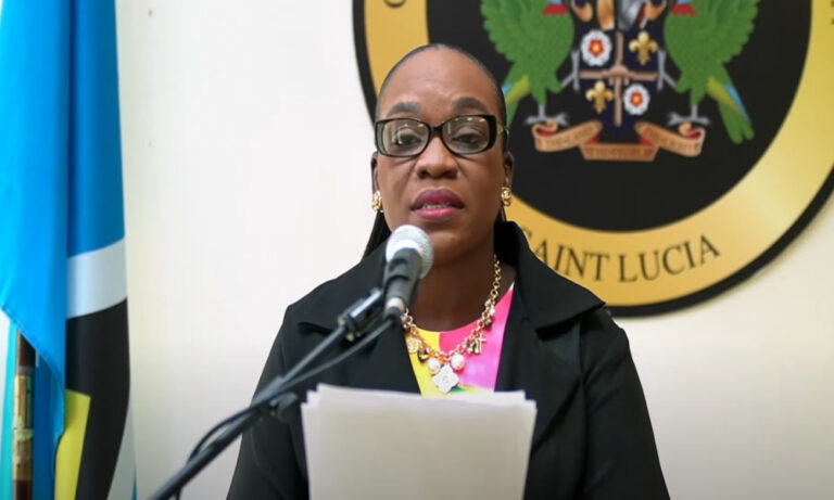 Lady Lee Criticizes Dr. Anthony’s Legacy in Election Bid