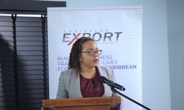 Export Saint Lucia Urges Entrepreneurs to Embrace Green and Digital Transformation