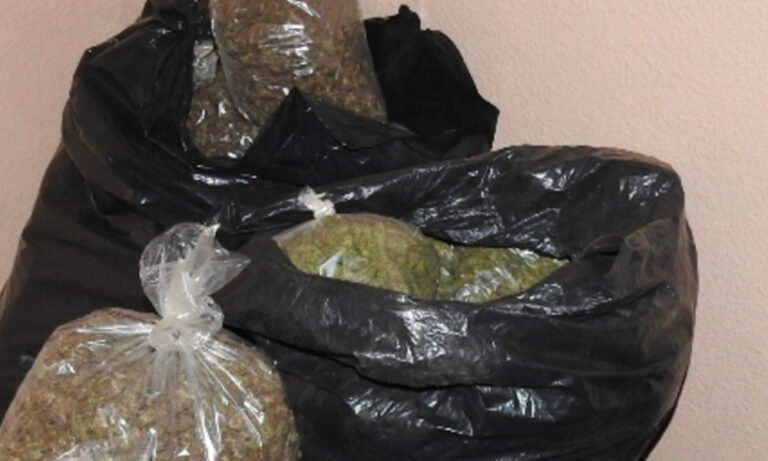 Another SLASPA Employee Arrested in Major Drug Operation. Minister Demands Accountability