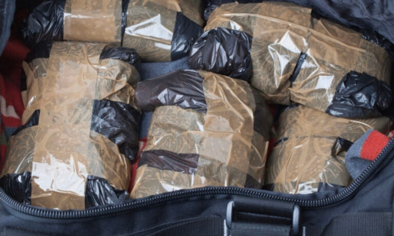 Major Narcotics Seizure at Port Castries as Authorities Intensify Crackdown