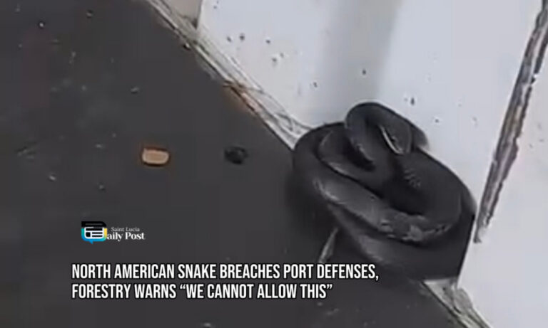 North American Snake Breaches Port Defenses, Forestry Warns “We Cannot Allow This”