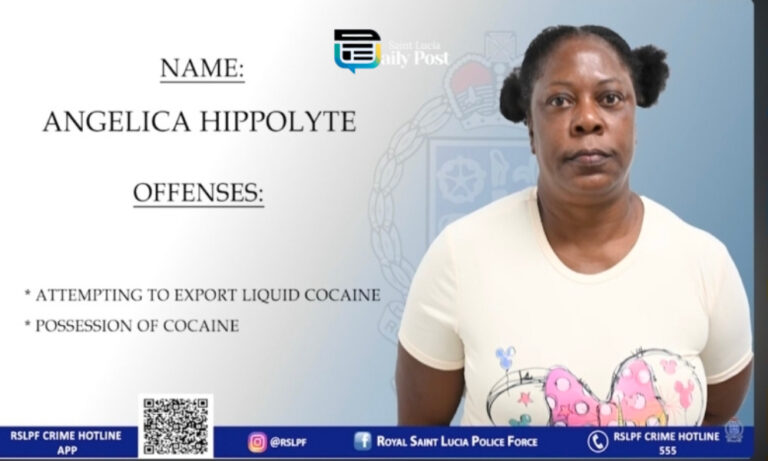 Illegal Weapons and Liquid Cocaine: Two Women Face Serious Charges in Separate Busts