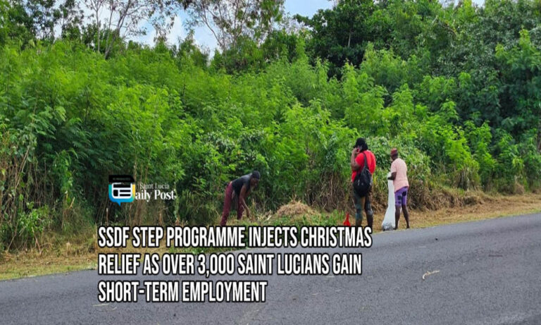 SSDF STEP Programme Injects Christmas Relief as Over 3,000 Saint Lucians Gain Short-Term Employment