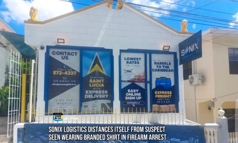 Sonix Logistics Distances Itself From Suspect Seen Wearing Branded Shirt in Firearm Arrest