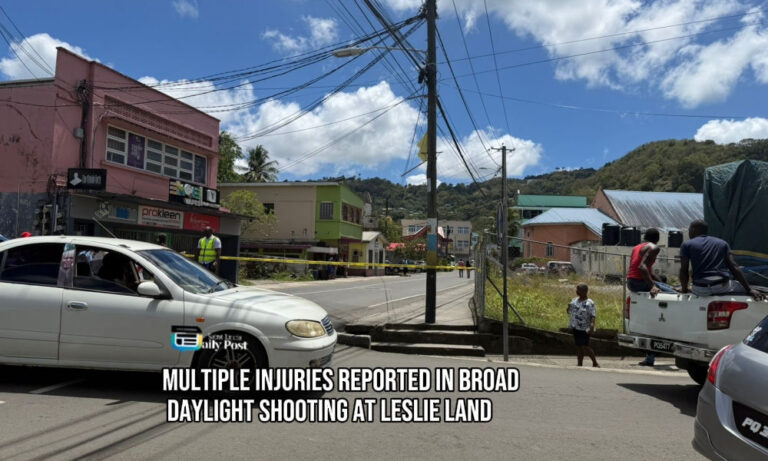 Multiple Injuries Reported in Midday Shooting at Leslie Land