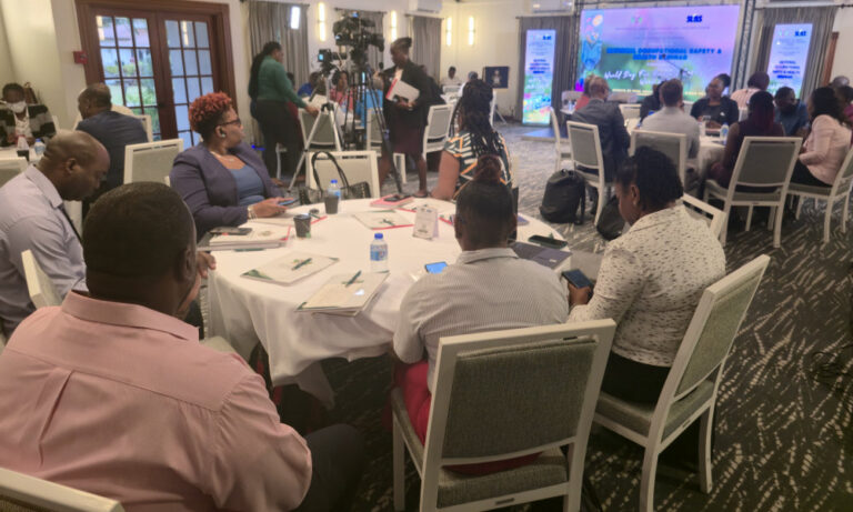 Government Moves to Tackle Workplace Health Risks as Saint Lucia Observed World Day for Safety and Health at Work