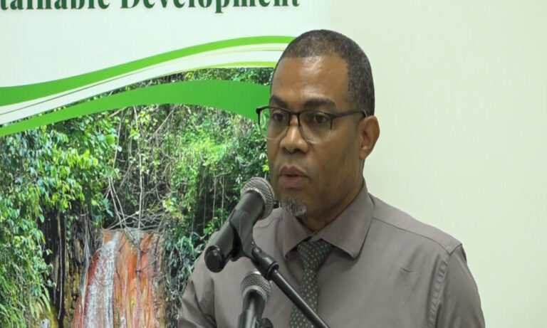 Who Benefits from Saint Lucia’s Natural Resources? New Policies Aim to Set the Rules