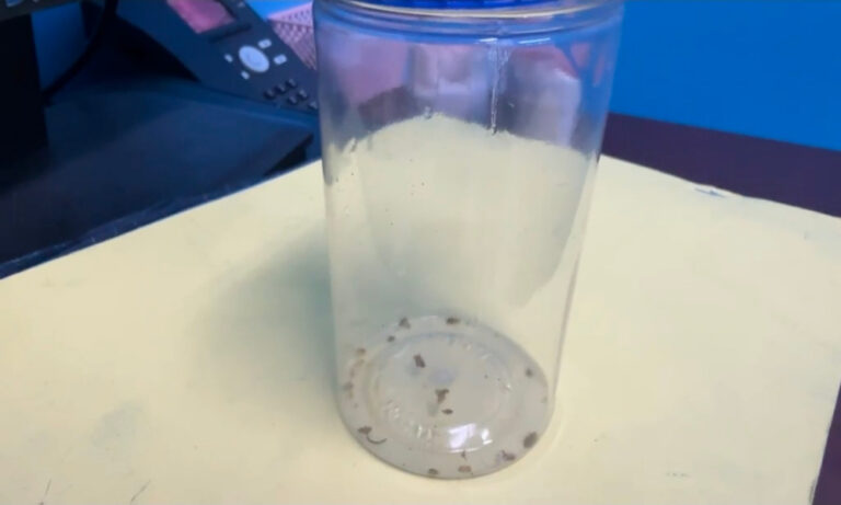 Sample Collected For Testing As Betty Wells Bedbug Claims Trigger Fresh Patient Safety Concerns