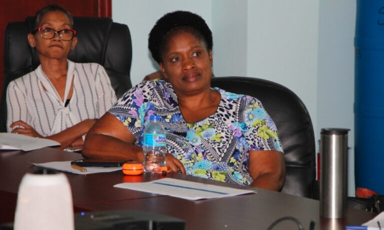 Saint Lucia Pushes Major Reforms to Protect Women, Fight Poverty and Build Economic Resilience