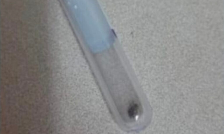 Bedbug Fears Spread to La Clery Health Centre After Betty Wells Relocation, Staff Threaten Sickout