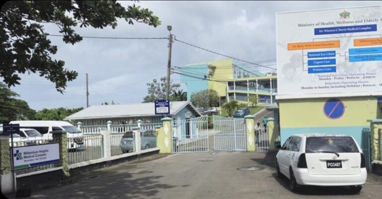 Bedbug Claims, Patient Safety Fears And Staff Frustration Rock Betty Wells Facility