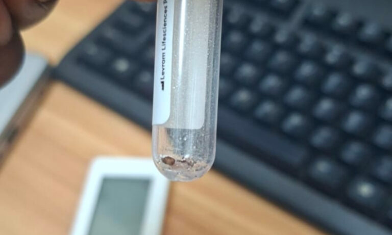 Bed Bug Nightmare Continues at Betty Wells Clinic, Medical Association Warns Action May Be Taken