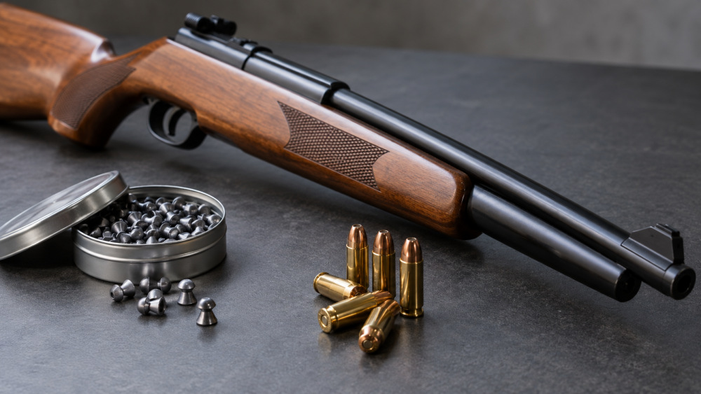 Tighter Rules for Gun Owners as Firearms Bill Heads to Parliament